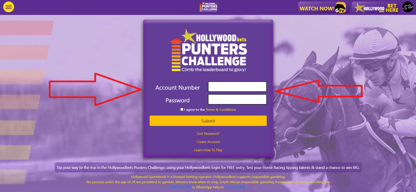 Hollywoodbets online in Africa